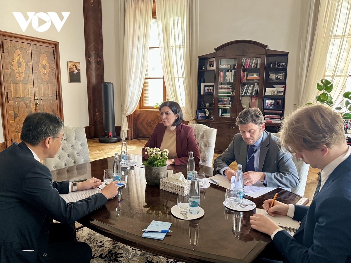 Ambassador highlights huge potential for stronger ties with Czech Republic